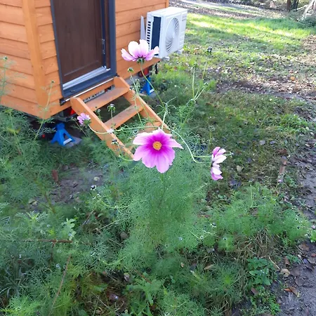 Tiny House Ernesto *